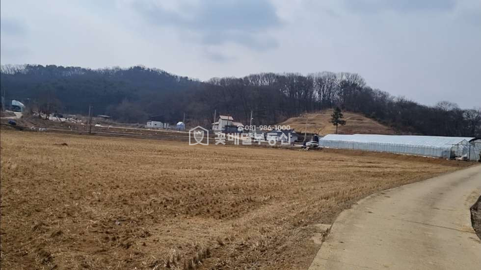 경기 김포시 월곶면 개곡리 [김포고촌꽃배달부동산] 급매,사옥,연구소,단독주택부지,조용한곳 매매 매물번호 10118 사진 7