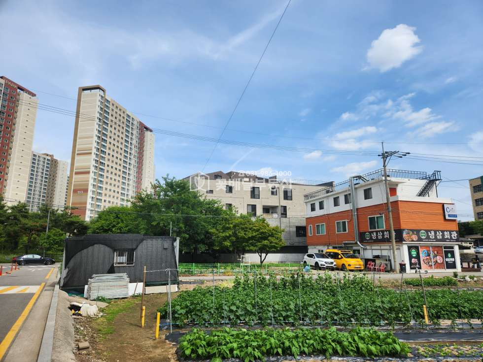 경기 김포시 사우동 [김포고촌꽃배달부동산] 풍무동 개발시 좋은입지, 좋은건물, 삼거리코너 신호등자리 매매 매물번호 10107 사진 16