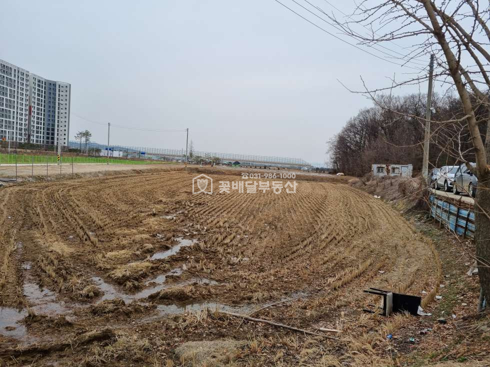 경기 김포시 고촌읍 태리 [김포고촌꽃배달부동산] 캐파건너편 위치좋은 곳 토지, 임야2371p 포함 매매 매물번호 10106 사진 2