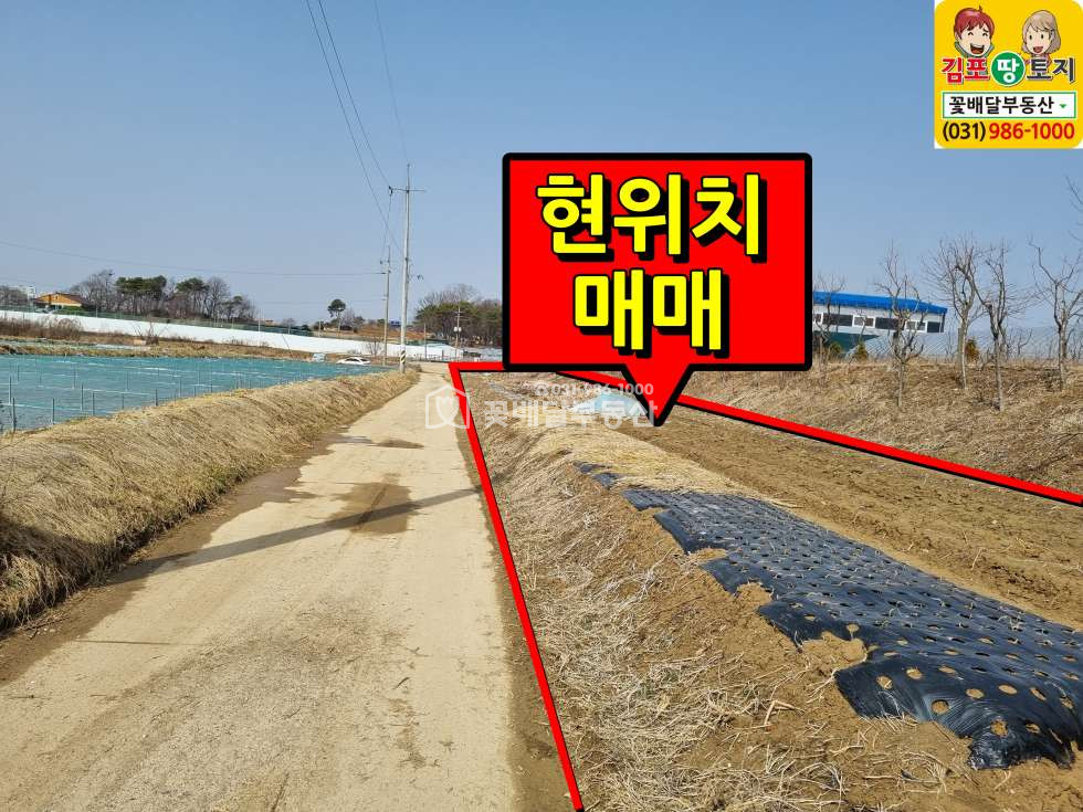 경기 김포시 고촌읍 태리 [김포고촌꽃배달부동산] 급매,주말농장,도로전면넓어 활용도좋은 토지 매매 매물번호 10104 사진 2