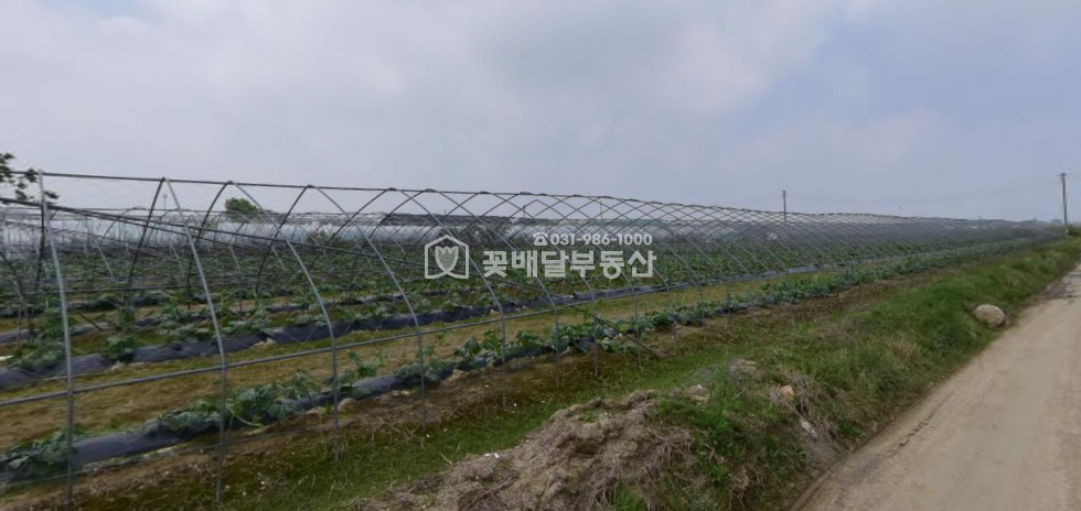 경기 김포시 양촌읍 누산리 [김포고촌꽃배달부동산] 김포토지매매, 급매, 식품공장, 대토, 투자하실 분, 코너,차량진입가능 매매 매물번호 10101 사진 3
