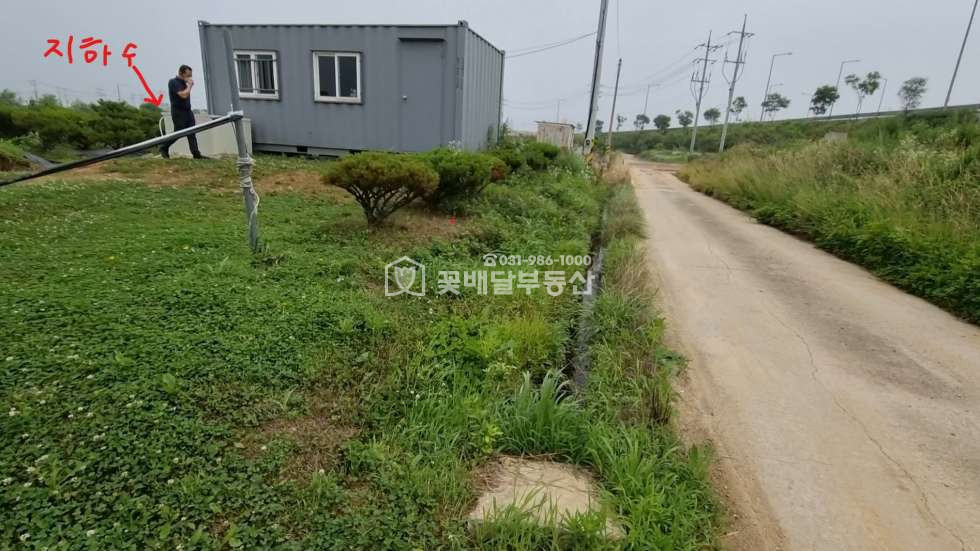 경기 김포시 양촌읍 흥신리 [김포고촌꽃배달부동산] 김포토지매매ㅣ농지투자ㅣ보상시최고ㅣ대토용ㅣ소나무묘목 300그루, 산수유 등 매매 매물번호 10082 사진 4