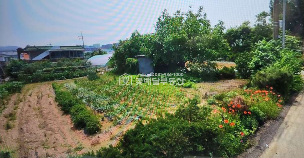 경기 김포시 통진읍 가현리 [김포고촌꽃배달부동산] 김포 통진 토지매매ㅣ계획관리ㅣ건축허가득ㅣ토목공사완료 매매 매물번호 10010 사진 4