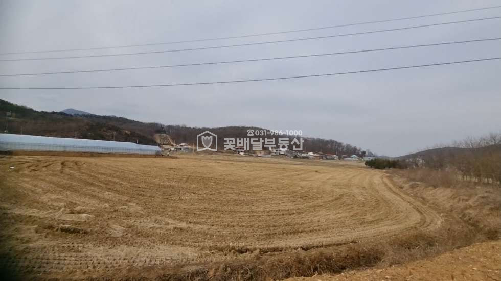 경기 김포시 월곶면 개곡리 [김포고촌꽃배달부동산] 김포토지매매ㅣ월곶면개곡리ㅣ1892평ㅣ급매ㅣ평당 65만원ㅣ사옥,요양원,단독주택단지 등 매매 매물번호 10032 사진 1