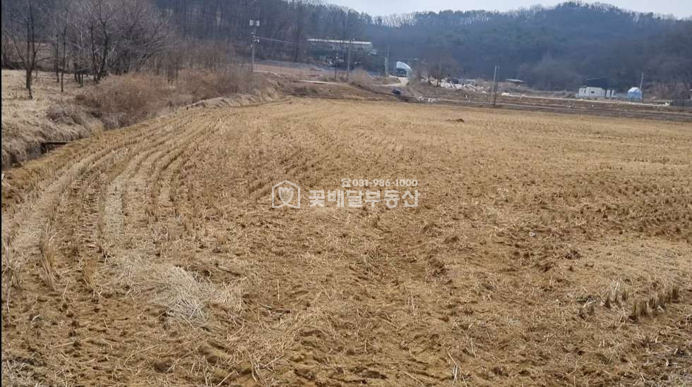 경기 김포시 월곶면 개곡리 [김포고촌꽃배달부동산] 김포토지매매ㅣ월곶면개곡리ㅣ1892평ㅣ급매ㅣ평당 65만원ㅣ사옥,요양원,단독주택단지 등 매매 매물번호 10032 사진 5