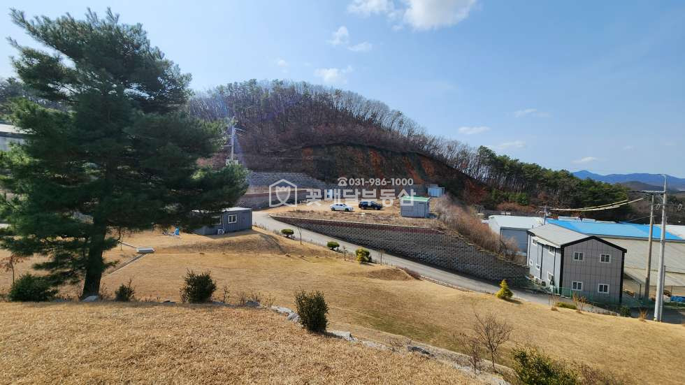 경기 김포시 월곶면 [김포고촌꽃배달부동산] 김포 반려견장례식장 수목장 허가증 포함 토지 2360평 매매ㅣ주변 민원정리 합의 완료ㅣ깔끔한 상태로 이전 매매 매물번호 10039 사진 13