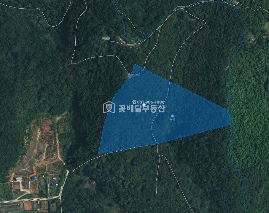경기 김포시 양촌읍 학운리 [김포고촌꽃배달부동산]김포 토지 매매 임야, 산ㅣ좋은입지ㅣ토목,개발 하실 분ㅣ공시지가의 59%가격 매매 매물번호 10070 사진 3