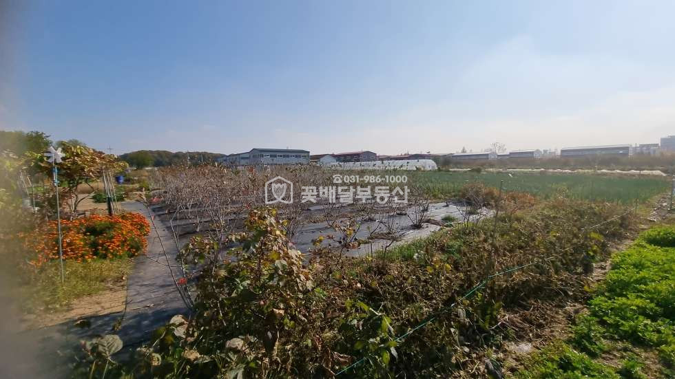 경기 김포시 고촌읍 향산리 [김포고촌꽃배달부동산] 개발예정지ㅣ식품공장창고ㅣ농림지역ㅣ보상받을토지 매매 매물번호 10135 사진 4