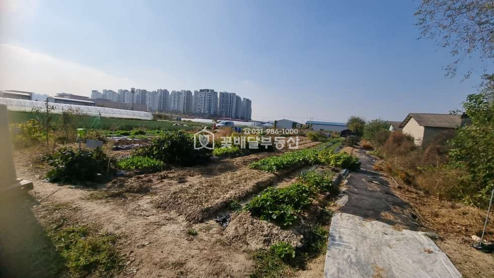 경기 김포시 고촌읍 향산리 [김포고촌꽃배달부동산] 개발예정지ㅣ식품공장창고ㅣ농림지역ㅣ보상받을토지 매매 매물번호 10135 사진 9
