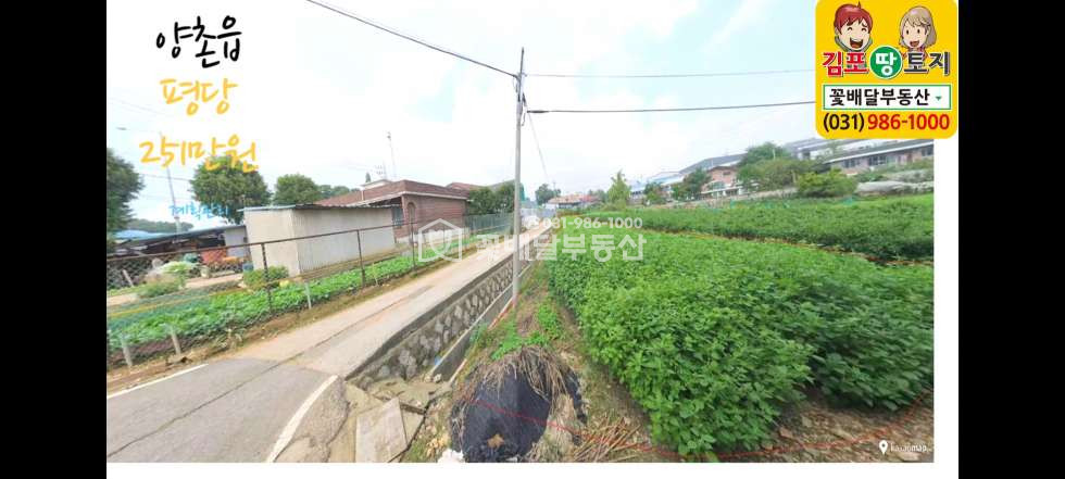 경기 김포시 양촌읍 흥신리 [김포고촌꽃배달부동산] 김포부동산매매ㅣ김포토지매매ㅣ계획관리토지ㅣ큰도로에서 가까운 계획관리토지 좋은입지 매매 매물번호 10083 사진 3
