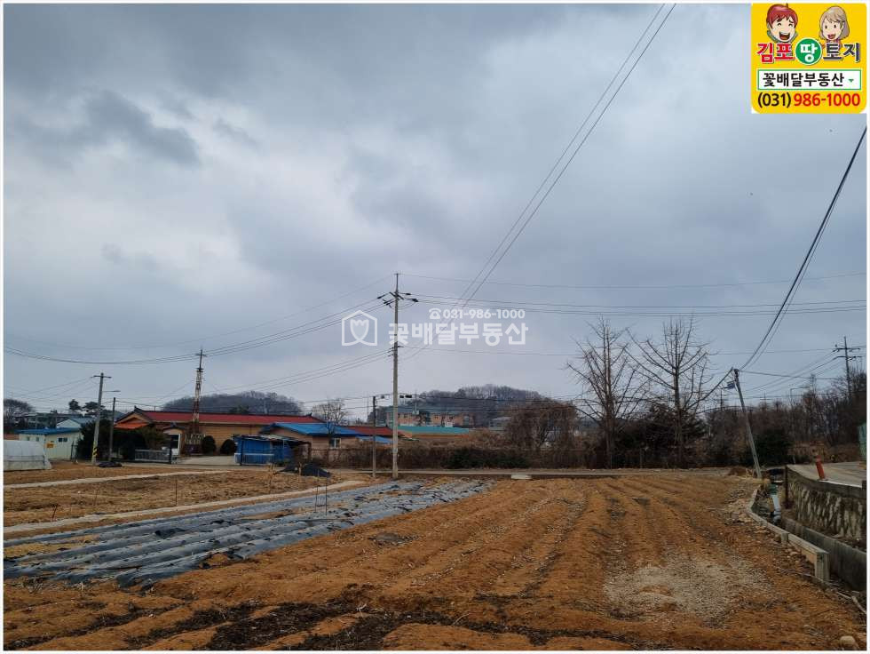 경기 김포시 양촌읍 흥신리 [김포고촌꽃배달부동산] 김포부동산매매ㅣ김포토지매매ㅣ계획관리토지ㅣ큰도로에서 가까운 계획관리토지 좋은입지 매매 매물번호 10083 사진 6