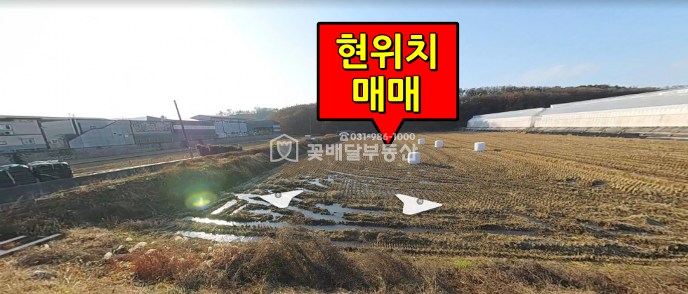 경기 김포시 대곶면 송마리 [김포꽃배달부동산] 대로변 바로옆 위치, 농가용창고 지으실분 매매 매물번호 10172 사진 1