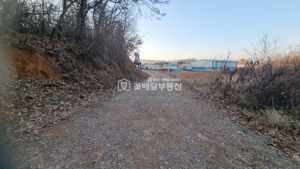 경기 김포시 고촌읍 태리 [김포꽃배달부동산] 캐슬앤파밀리에 뒤쪽위치,급매,그린벨트지역 매매 매물번호 10173 사진 14