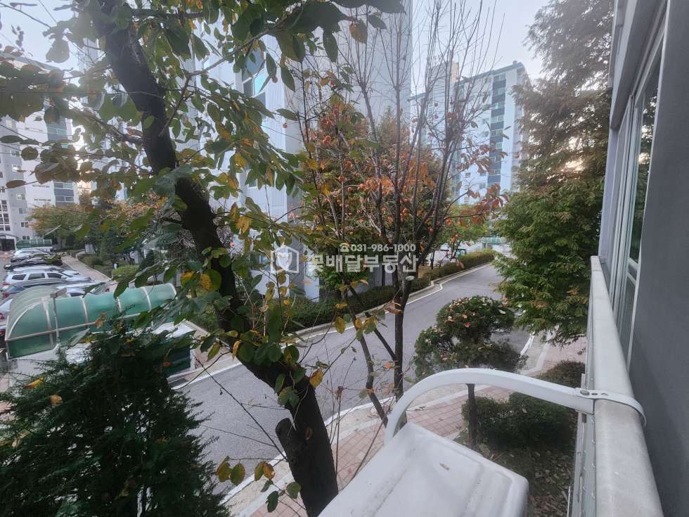경기 김포시 고촌읍 신곡리 103동 [김포꽃배달부동산] 숲속대우아파트 103동 2층 30평 올수리 매매 매매 매물번호 10174 사진 17