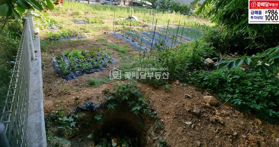 인천 계양구 장기동 [꽃배달부동산] 제2종일반주거지역 근생상가 혹은 상가주택 신축하실분 위치좋아요 투자로도 좋은위치 매매 매물번호 10214 사진 6