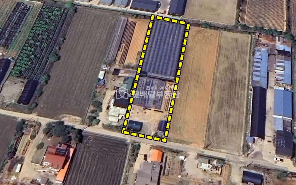 경기 김포시 하성면 봉성리 [김포꽃배달부동산] 국내산식품공장 건축허가필, 현황과수원, 포도밭 매매 매물번호 10270 사진 1