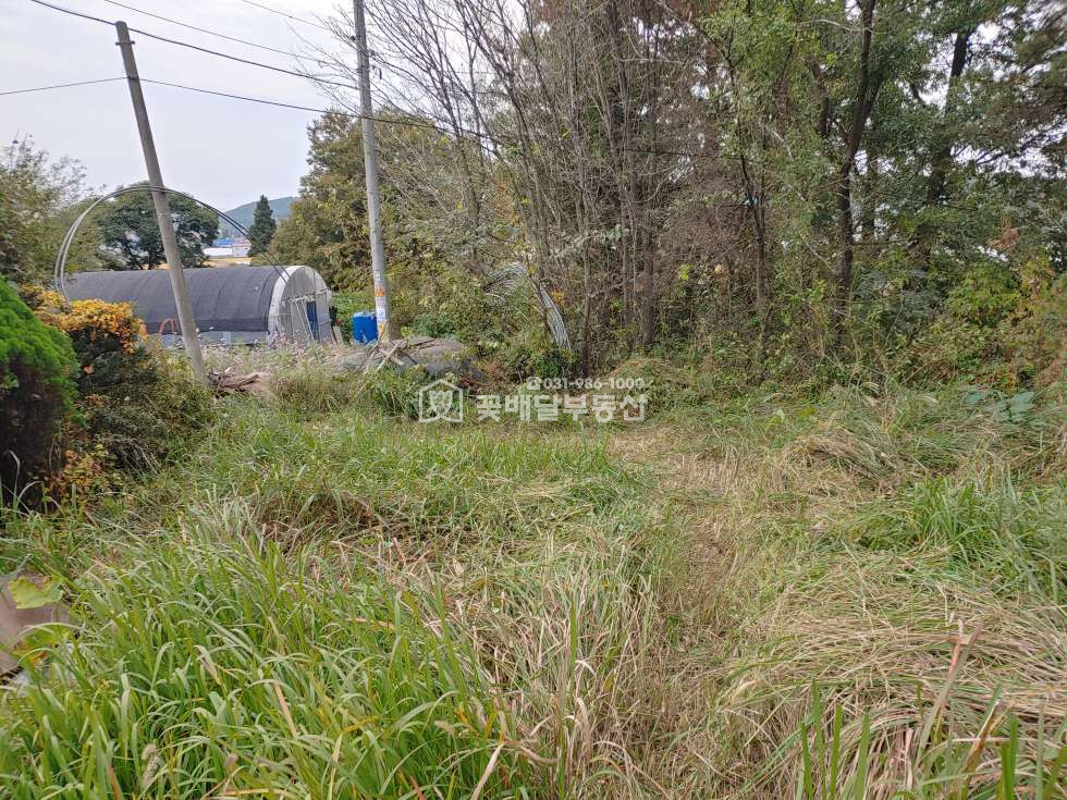 경기 김포시 통진읍 귀전리 [김포고촌꽃배달부동산] 급매 계획관리지역 귀전리 토지매매ㅣ공장창고신축부지ㅣ계획관리지역 매매 매물번호 10024 사진 5