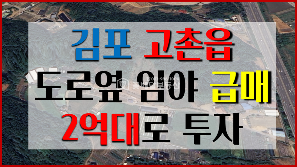 경기 김포시 고촌읍 풍곡리 개발제한구역 전같은 임야매매(지연녹지) 매매 매물번호 10300 사진 8