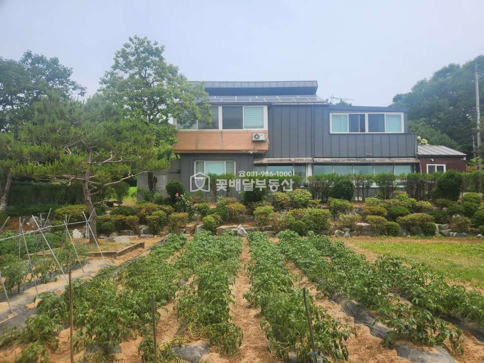 경기 김포시 고촌읍 풍곡리 [김포꽃배달부동산] 전원주택 세안고매매 주차가능 1,2층 출입문별도 매매 매물번호 10295 사진 3