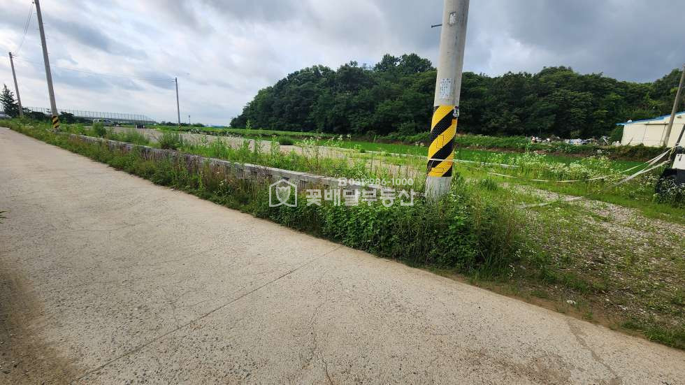 경기 김포시 고촌읍 신곡리 989-16 개발제한구역내 잡종지(1,478㎡)포함 야적장,주차장 매매 매물번호 10310 사진 5