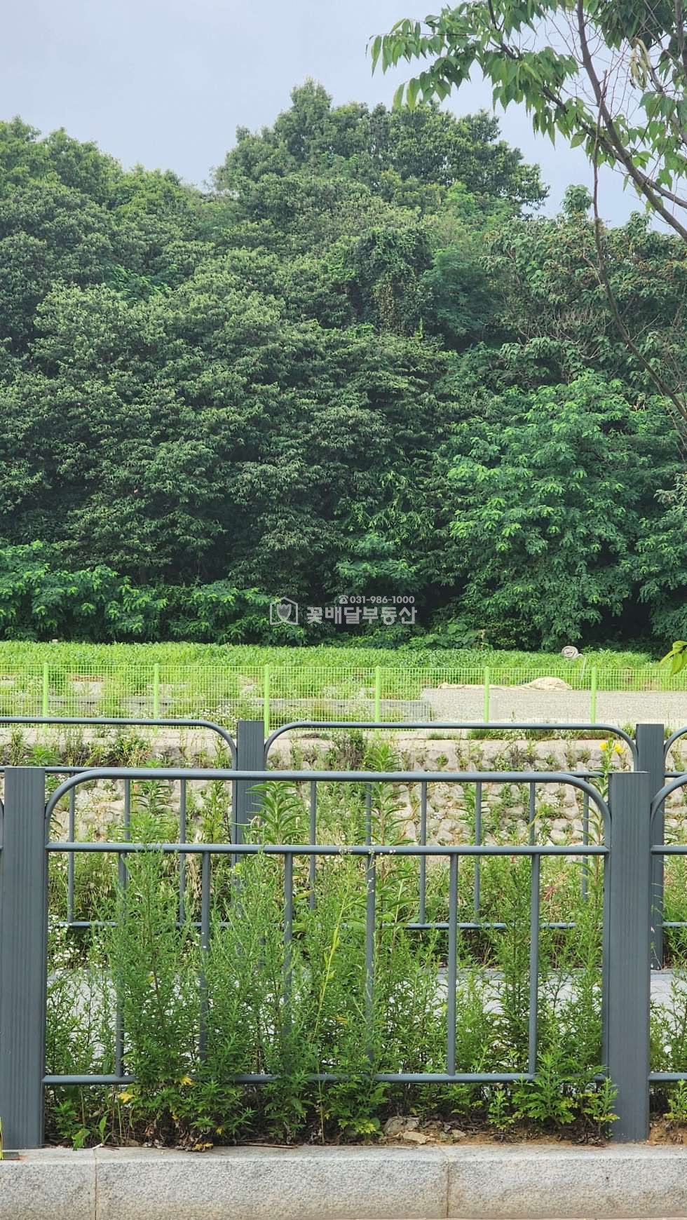 경기 김포시 고촌읍 신곡리 989-16 개발제한구역내 잡종지(1,478㎡)포함 야적장,주차장 매매 매물번호 10310 사진 8
