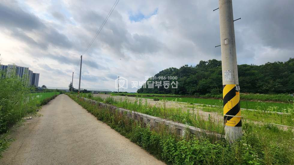 경기 김포시 고촌읍 신곡리 개발제한구역 잡종지및 답 야적장급매 매매 매물번호 10304 사진 7